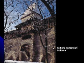 Tallinna linnamüüri Tallitorn   