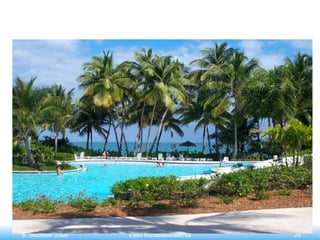 8. oktoober 2008 Eesti Kunstiakadeemia 