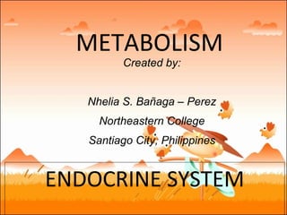 METABOLISM ENDOCRINE SYSTEM Created by: Nhelia S. Bañaga – Perez Northeastern College Santiago City, Philippines 