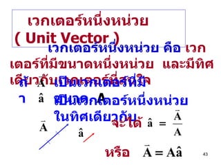 เวกเตอร์หนึ่งหน่วย  ( Unit Vector ) เวกเตอร์หนึ่งหน่วย คือ   เวกเตอร์ที่มีขนาดหนึ่งหน่วย  และมีทิศเดียวกับเวกเตอร์ที่สนใจ ถ้า เป็นเวกเตอร์ที่มีขนาด  A เป็นเวกเตอร์หนึ่งหน่วยในทิศเดียวกับ จะได้ หรือ 