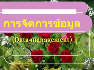 การจัดการข้อมูล ( Data management ) 