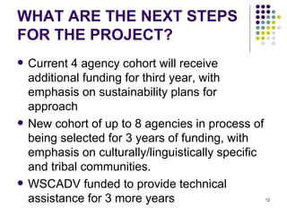 WHAT ARE THE NEXT STEPS FOR THE PROJECT? Current 4 agency cohort will receive additional funding for third year, with emphasis on sustainability plans for approach New cohort of up to 8 agencies in process of being selected for 3 years of funding, with emphasis on culturally/linguistically specific and tribal communities. WSCADV funded to provide technical assistance for 3 more years 