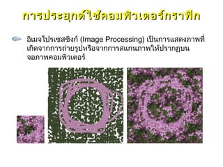 การประยุก ต์ใ ช้ค อมพิว เตอร์ก ราฟิก

อิเมจโปรเซสซิงก์ (Image Processing) เป็นการแสดงภาพที่
เกิดจากการถ่ายรูปหรือจากการสแกนภาพให้ปรากฏบน
จอภาพคอมพิวเตอร์
 