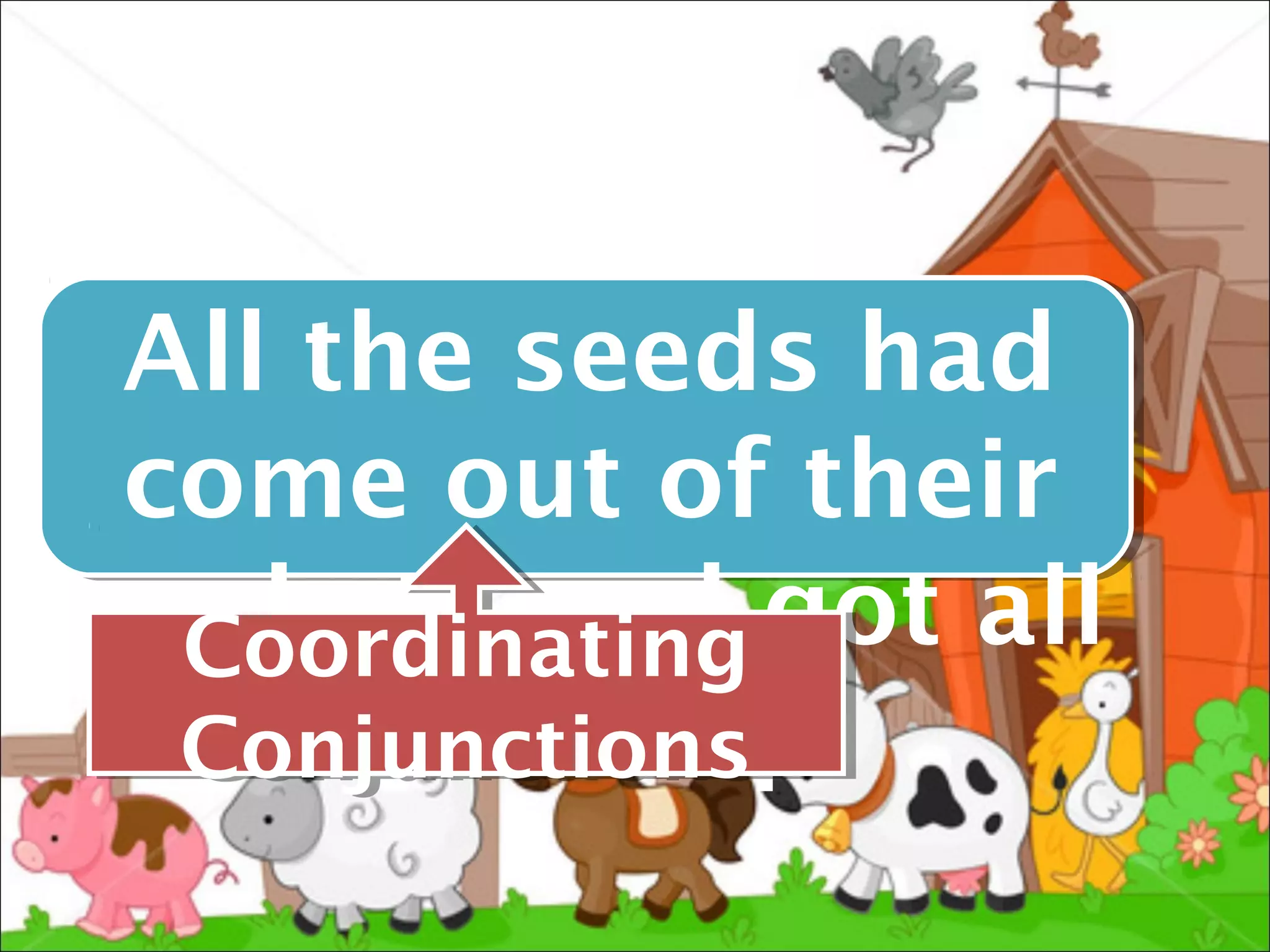 All the seeds had
 come out of their
packets and got all
  Coordinating
  Coordinating
     mixed up
  Conjunctions .
  Conjunctions
 