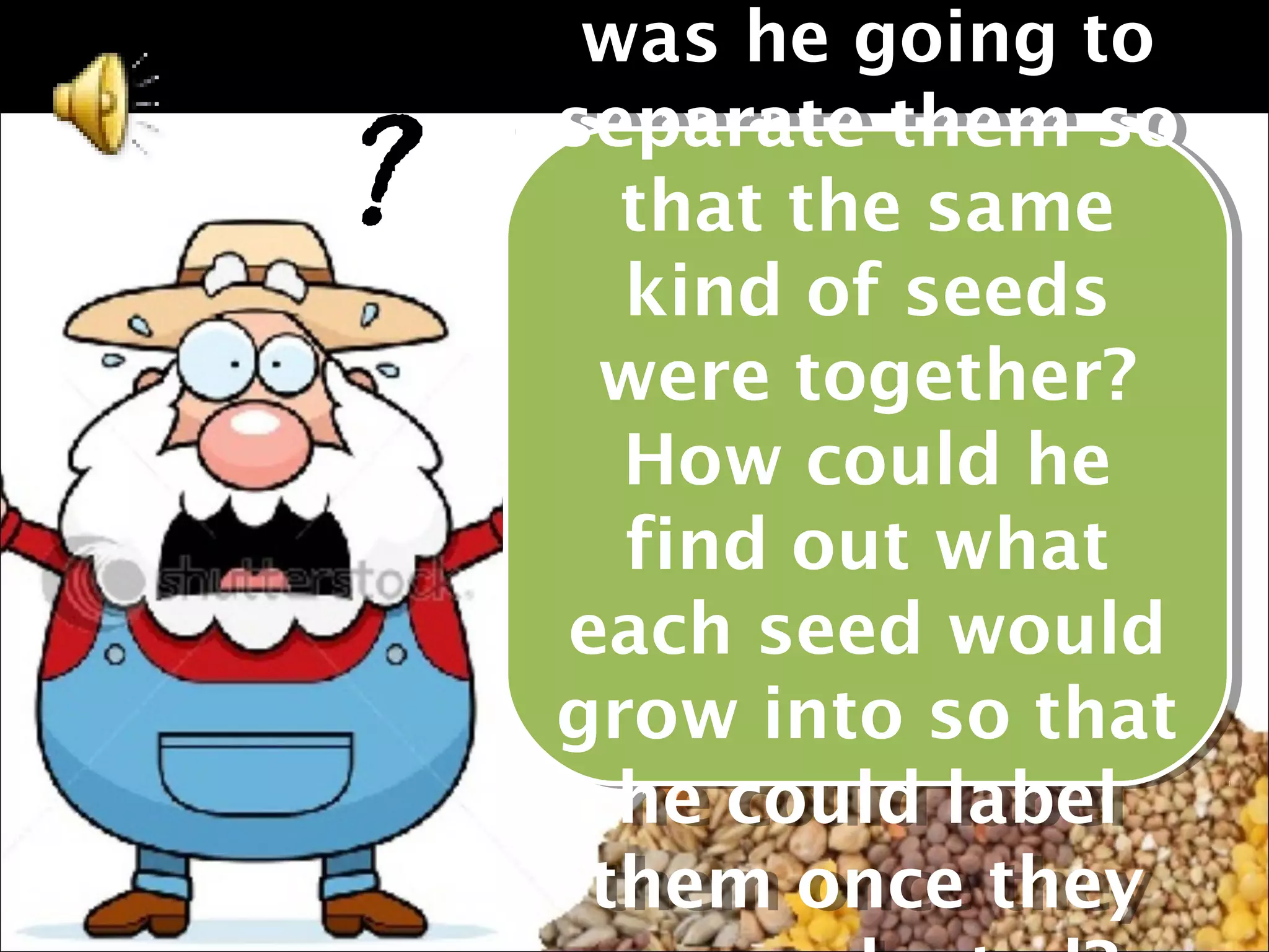 was he going to
     was he going to
    separate them so
?   separate them so
       that the same
       that the same
       kind of seeds
        kind of seeds
     were together?
      were together?
       How could he
       How could he
       find out what
        find out what
    each seed would
     each seed would
    grow into so that
    grow into so that
       he could label
       he could label
     them once they
      them once they
 