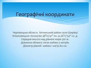 Географічні координати


Чернівецька область Хотинський район село Ширівці
Клішковецьке лісництво 48°25ʹ41" пн. ш.26°17ʹ54" сх. д.
      Середня висота над рівнем моря 301 м.
      Довжина обхвату сягає майже 5 метрів.
        Діаметр рівний майже 1 метр 60 см.
 