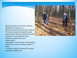 Довжина нашої екологічної стежини
приблизно складає 5 км.
Проте на ній нас вразила інша картина.
Рік тому неподалік кучерявого дуба
стояли трохи менші за діаметром дуби.
Але доля їх уже вирішена; вони
виявились придатними для
промислової
 переробки. Їх вже немає. Скільки років
їх ростили? Скільки поколінь раділи їх
красі,
 то чому не садять їм заміну? На думку
приходять рядки пісні:
 