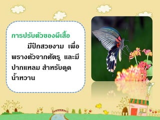การปรับตัวของผีเสื้อ
     มีปกสวยงาม เพื่อ
        ี
พรางตัวจากศัตรู และมี
ปากแหลม สาหรับด ูด
น้าหวาน
 