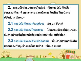 2. การปรับตัวแบบถาวรในสัตว์ เปนการปรับตัวเพื่อ
                                     ็
อาพรางศัตร ู เพื่อหาอาหาร และเพื่อการสืบพันธ์ ุ โดยมีการ
ปรับตัว 3 ลักษณะ
   2.1 การปรับตัวทางด้านร ูปร่าง เช่น นก ยีราฟ
   2.2 การปรับตัวทางโครงสร้าง เปนการปรับตัวให้เหมาะสม
                                   ็
กับการดารงชีพในแหล่งที่อยูแต่ละแบบ เช่น หมีขวโลก
                         ่                  ั้
  2.3 การปรับตัวทางด้านพฤติกรรม เปนการปรับตัวเพื่อให้
                                       ็
สอดคล้องกับร ูปร่างและโครงสร้าง เช่นนก เหยียว
                                           ่
 