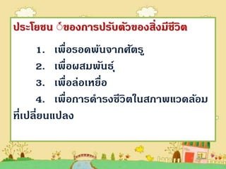 ประโยชน ้์ ของการปรับตัวของสิ่งมีชีวิต
      1. เพื่อรอดพ้นจากศัตร ู
      2. เพื่อผสมพันธ์ ุ
      3. เพื่อล่อเหยือ
                     ่
      4. เพื่อการดารงชีวิตในสภาพแวดล้อม
ที่เปลี่ยนแปลง
 