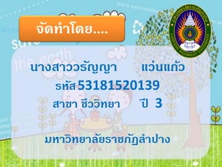จัดทาโดย....

นางสาววรัญญา     แว่นแก้ว
   รหัส 53181520139
   สาขา ชีววิทยา ป 3
                  ี

 มหาวิทยาลัยราชภัฏลาปาง
 