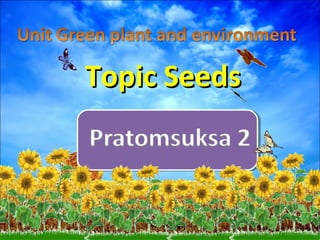 Topic Seeds
 