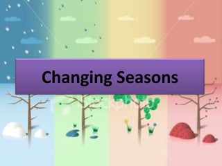 Changing Seasons
 