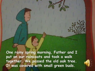 One rainy spring morning, Father and I
put on our raincoats and took a walk
together. We passed the old oak tree.
It was covered with small green buds.
 