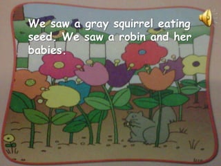 We saw a gray squirrel eating
seed. We saw a robin and her
babies.
 