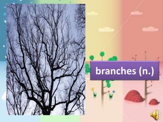 branches (n.)
 