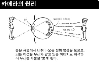 눈은 사물에서 비춰 나오는 빛의 형상을 모으고,
뇌는 이것을 우리가 알고 있는 이미지로 해석하
여 우리는 사물을 ‘보게’ 된다.
 