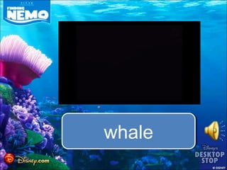 whale
 