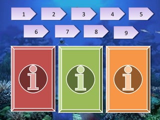 1
1       2
        2       3
                3       4
                        4       5
                                5

    6
    6       7
            7       8
                    8       9
                            9
 