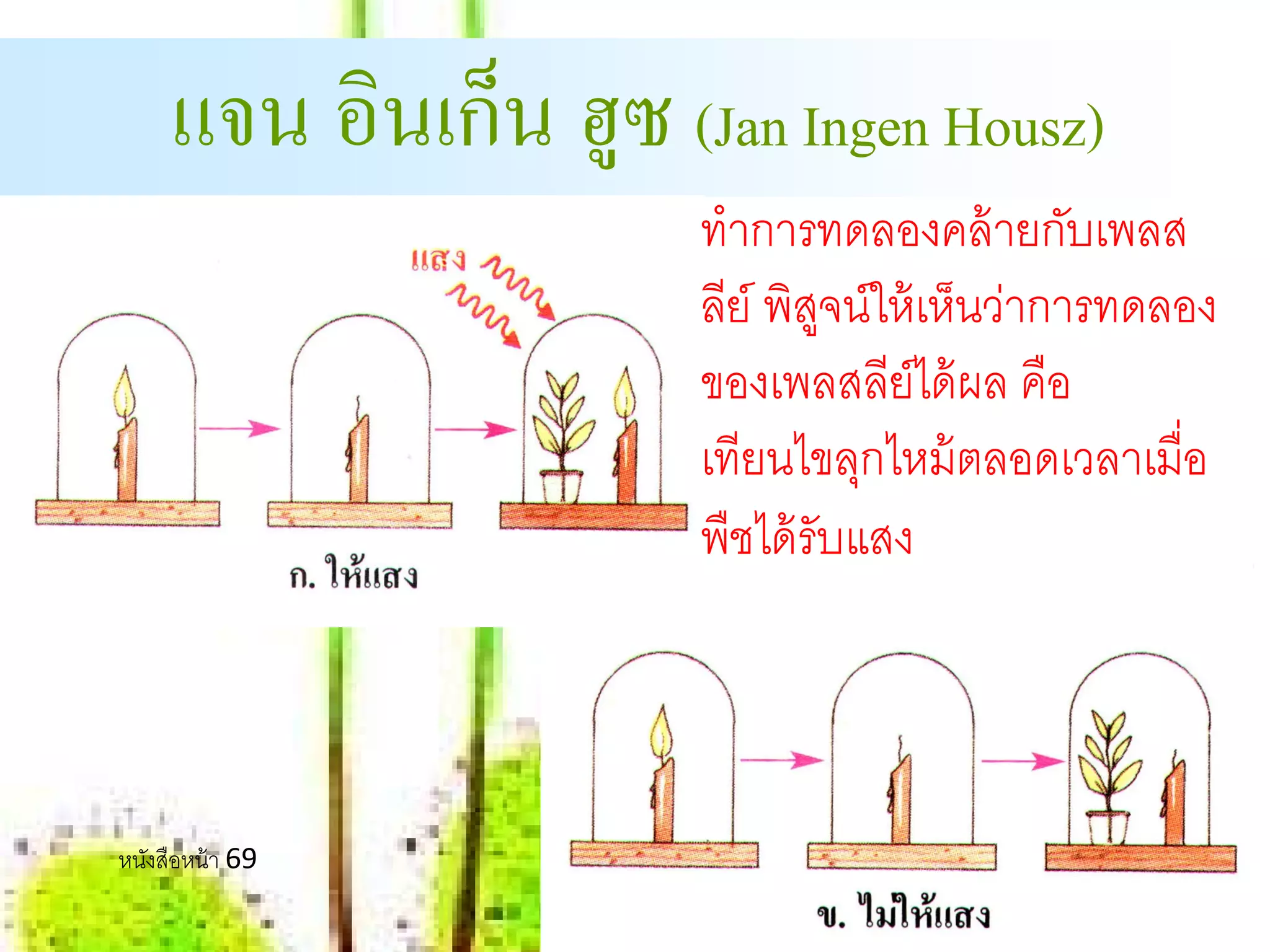 ็
     แจน อินเกน ฮูซ (Jan Ingen Housz)
                       ทําการทดลองคล้ ายกับเพลส
                       ลย์ พิสจน์ให้ เห็นว่าการทดลอง
                        ี ู
                       ของเพลสลีย์ได้ ผล คือ
                       เทียนไขลุกไหม้ ตลอดเวลาเมื่อ
                       พืชได้ รับแสง



หนังสือหน้ า 69
 