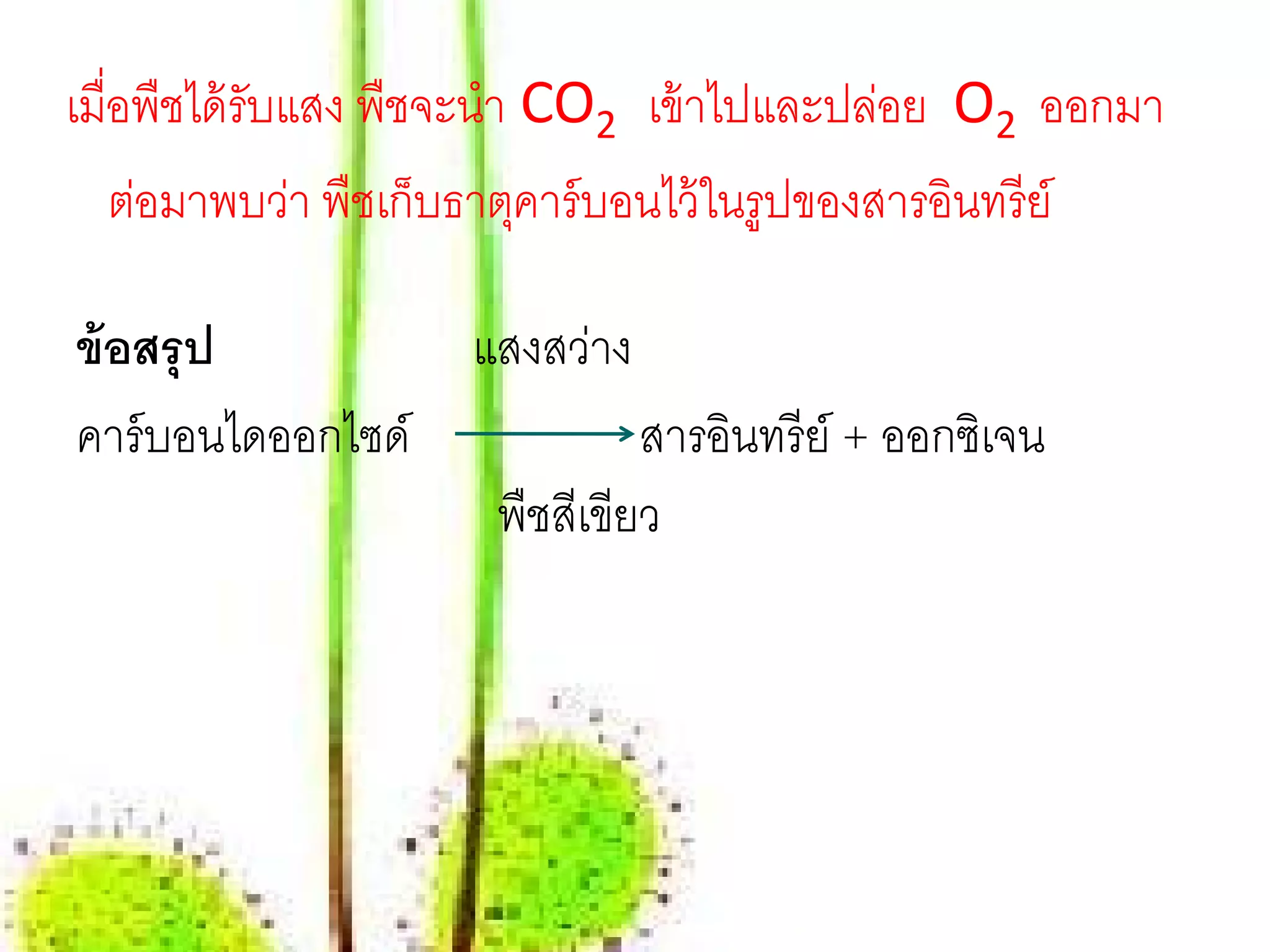 เมื่อพืชได้ รับแสง พืชจะนํา CO2 เข้ าไปและปล่อย O2 ออกมา
    ต่อมาพบว่า พืชเก็บธาตุคาร์ บอนไว้ ในรูปของสารอินทรี ย์

ข้ อสรุ ป        แสงสว่าง
คาร์บอนไดออกไซด์            สารอนทรีย์ + ออกซเิ จน
                                ิ
                  พืชสเี ขียว
 