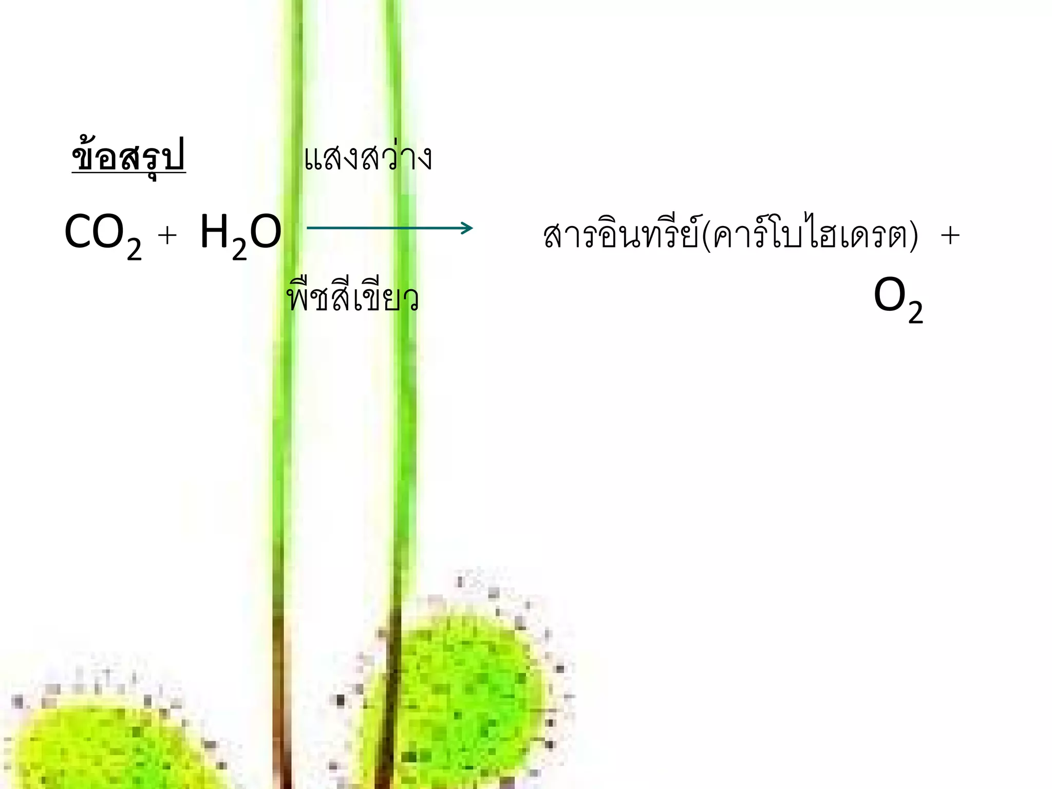 ข้อสรุป    แสงสว่าง
CO2 + H2O              สารอนทรีย์(คาร์ โบไฮเดรต) +
                           ิ
          พืชสเี ขยว
                  ี                          O2
 