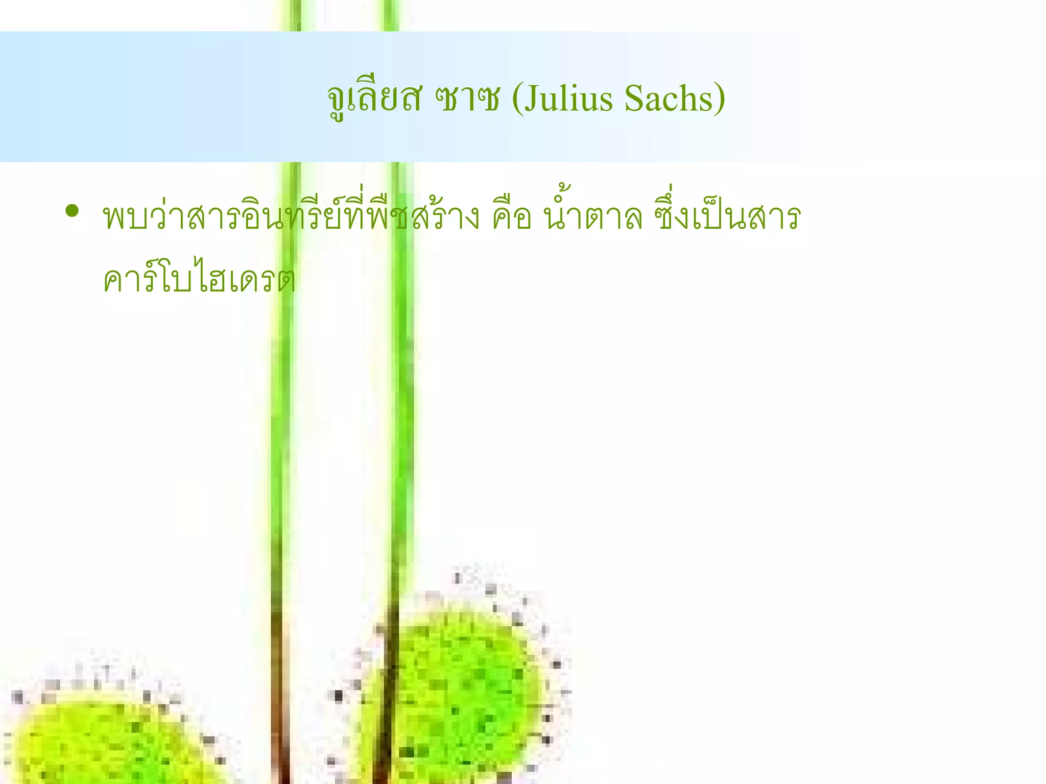จูเลียส ซาซ (Julius Sachs)

• พบว่าสารอินทรี ย์ที่พืชสร้ าง คือ นํ ้าตาล ซึงเป็ นสาร
                                               ่
  คาร์ โบไฮเดรต
 