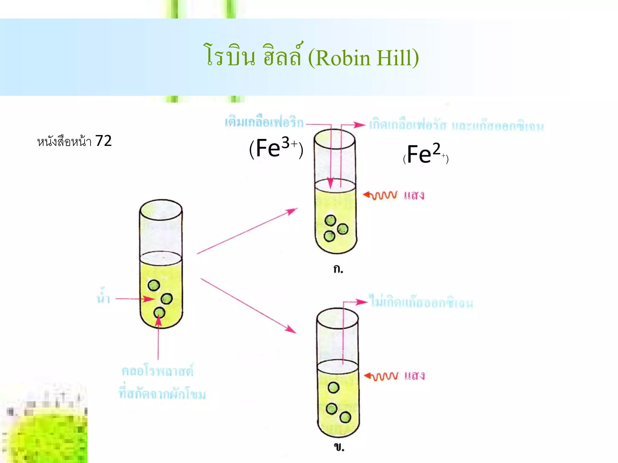 โรบิน ฮิลล์ (Robin Hill)

หนงสือหน้า 72
  ั
                     (Fe3+)           Fe2 )
                                      (    +
 