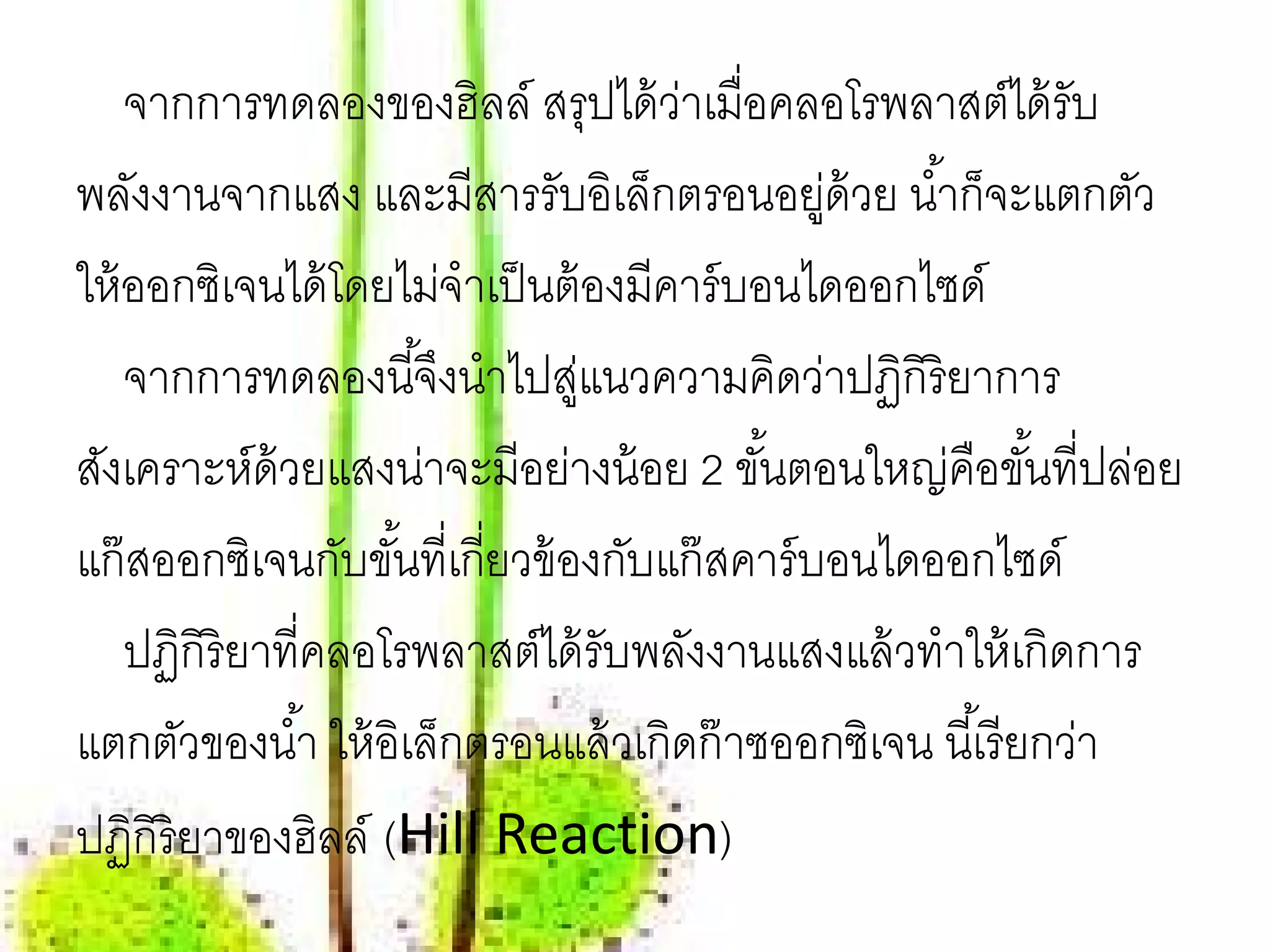 จากการทดลองของฮิลล์ สรุปได้ วาเมื่อคลอโรพลาสต์ได้ รับ
                                      ่
พลังงานจากแสง และมีสารรับอิเล็กตรอนอยูด้วย นํ ้าก็จะแตกตัว
                                               ่
ให้ ออกซิเจนได้ โดยไม่จําเป็ นต้ องมีคาร์ บอนไดออกไซด์
    จากการทดลองนี ้จึงนําไปสูแนวความคิดว่าปฏิกิริยาการ
                                ่
สังเคราะห์ด้วยแสงน่าจะมีอย่างน้ อย 2 ขนตอนใหญ่คอขนท่ีปลอย
                                           ั้         ื ั้        ่
แก๊ สออกซิเจนกับขันที่เกี่ยวข้ องกับแก๊ สคาร์ บอนไดออกไซด์
                     ้
    ปฏิกิริยาที่คลอโรพลาสต์ได้ รับพลังงานแสงแล้ วทําให้ เกิดการ
แตกตัวของนํ ้า ให้ อิเล็กตรอนแล้ วเกิดก๊ าซออกซิเจน นี ้เรี ยกว่า
ปฏิกิริยาของฮิลล์ (Hill Reaction)
 