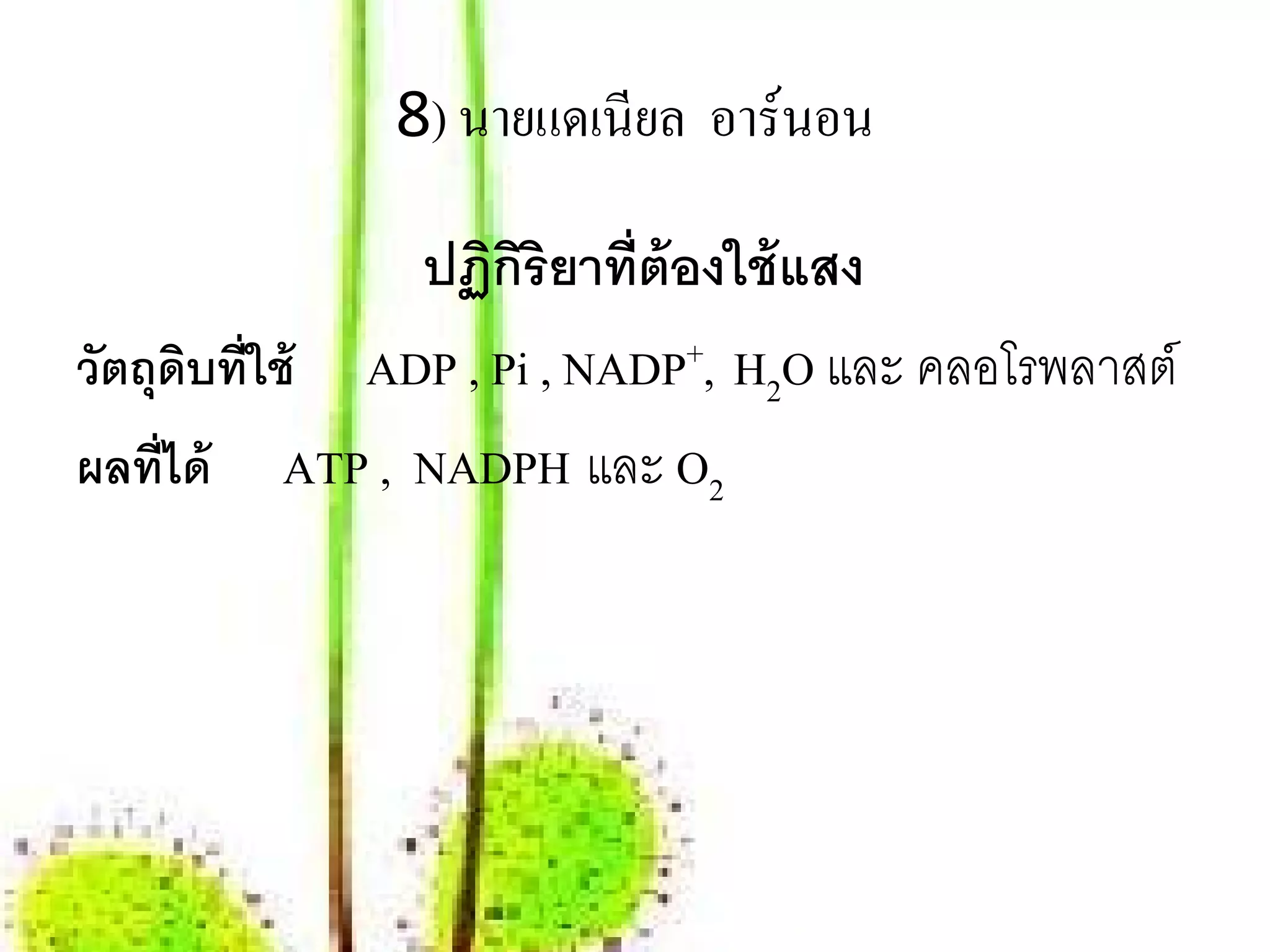8) นายแดเนียล อาร์นอน

                ปฏิกริยาที่ต้องใช้ แสง
                      ิ
วัตถุดบที่ใช้ ADP , Pi , NADP+, H2O และ คลอโรพลาสต์
      ิ
ผลที่ได้ ATP , NADPH และ O2
 