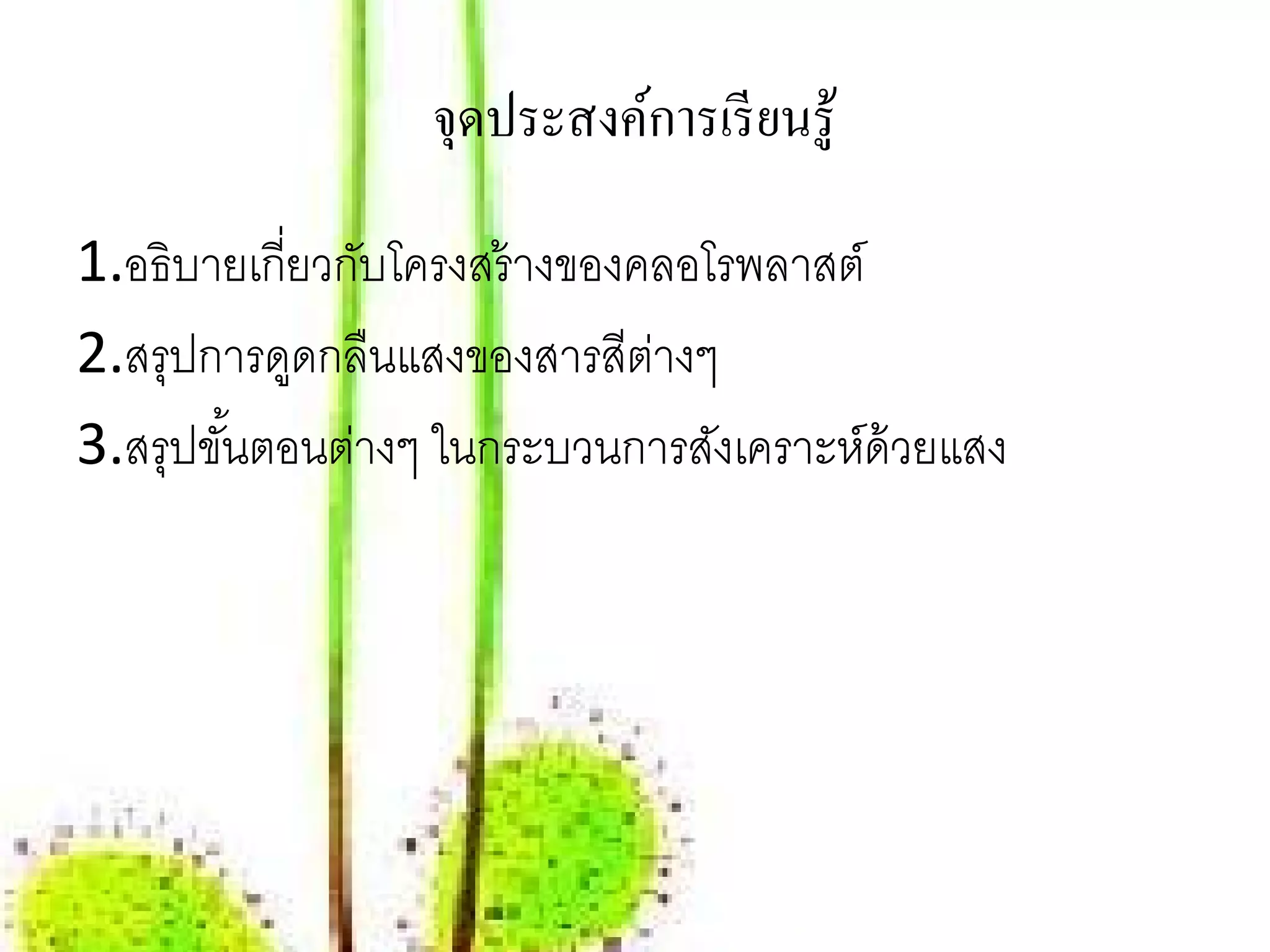 จุดประสงค์การเรี ยนรู ้

1.อธิบายเกี่ยวกับโครงสร้ างของคลอโรพลาสต์
2.สรุปการดูดกลืนแสงของสารสีตางๆ่
3.สรุปขันตอนต่างๆ ในกระบวนการสังเคราะห์ด้วยแสง
        ้
 