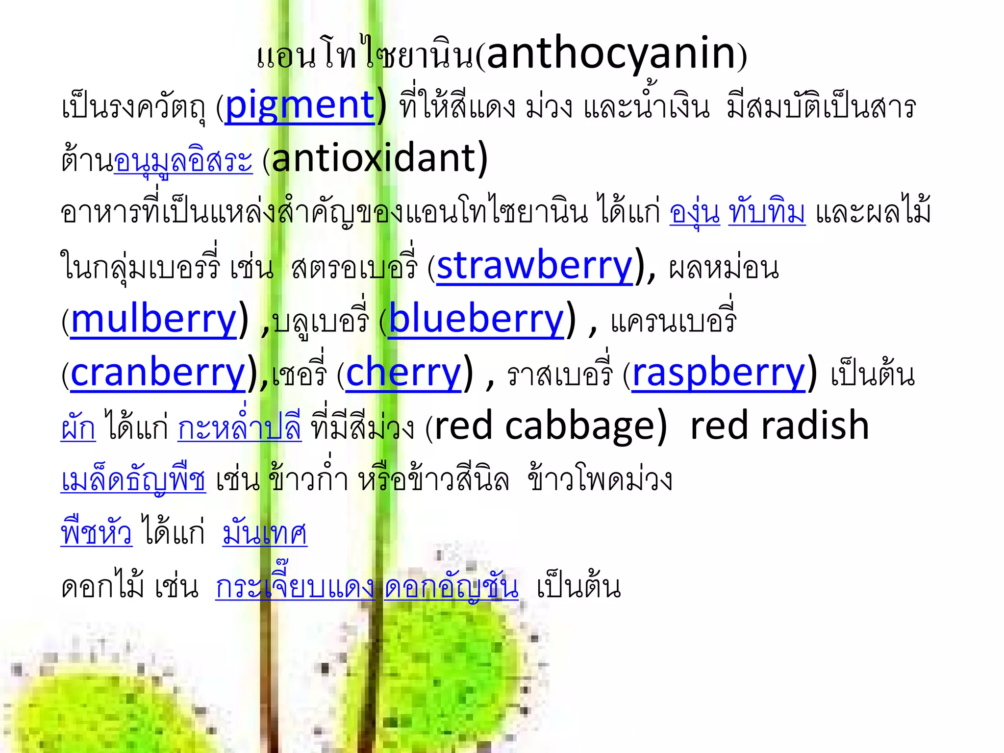 แอนโทไซยานิน(anthocyanin)
เป็ นรงควตถุ (pigment) ที่ให้ สีแดง ม่วง และนํ ้าเงิน มีสมบัตเิ ป็ นสาร
            ั
ต้านอนุมลอิสระ (antioxidant)
          ู
อาหารที่เป็ นแหล่งสําคัญของแอนโทไซยานิน ได้แก่ องน ทับทิม และผลไม้
                                                     ุ่
ในกลุมเบอรรี่ เช่น สตรอเบอร่ ี (strawberry), ผลหม่อน
      ่
(mulberry) ,บลูเบอร่ ี (blueberry) , แครนเบอร่ ี
(cranberry),เชอรี่ (cherry) , ราสเบอร่ ี (raspberry) เป็ นต้ น
ผก ได้แก่ กะหลํ่าปลี ที่มีสีมวง (red cabbage) red radish
  ั                          ่
เมล็ดธัญพืช เช่น ข้าวกํ่า หรือข้าวสีนิล ข้ าวโพดม่วง
พืชหัว ได้แก่ มนเทศ
               ั
ดอกไม้ เช่น กระเจี๊ยบแดง ดอกอัญชัน เป็นต้น
 