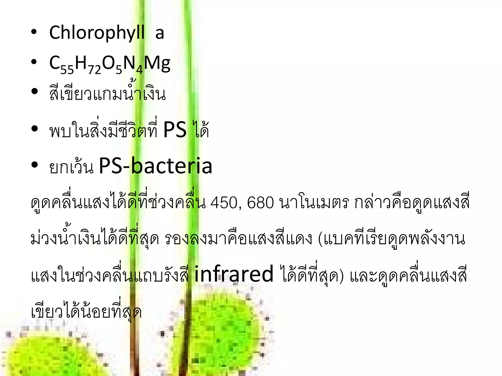 • Chlorophyll a
• C55H72O5N4Mg
• สีเขียวแกมนํ ้าเงิน
• พบในสิ่งมีชีวิตที่ PS ได้
• ยกเว้ น PS-bacteria
ดูดคลื่นแสงได้ ดีที่ช่วงคลื่น 450, 680 นาโนเมตร กล่าวคือดูดแสงสี
มวงนํ ้าเงินได้ ดีที่สด รองลงมาคือแสงสีแดง (แบคทีเรี ยดูดพลังงาน
  ่                   ุ
แสงในช่วงคลื่นแถบรังสี infrared ได้ ดีที่สด) และดูดคลื่นแสงสี
                                             ุ
เขียวได้ น้อยที่สดุ
 