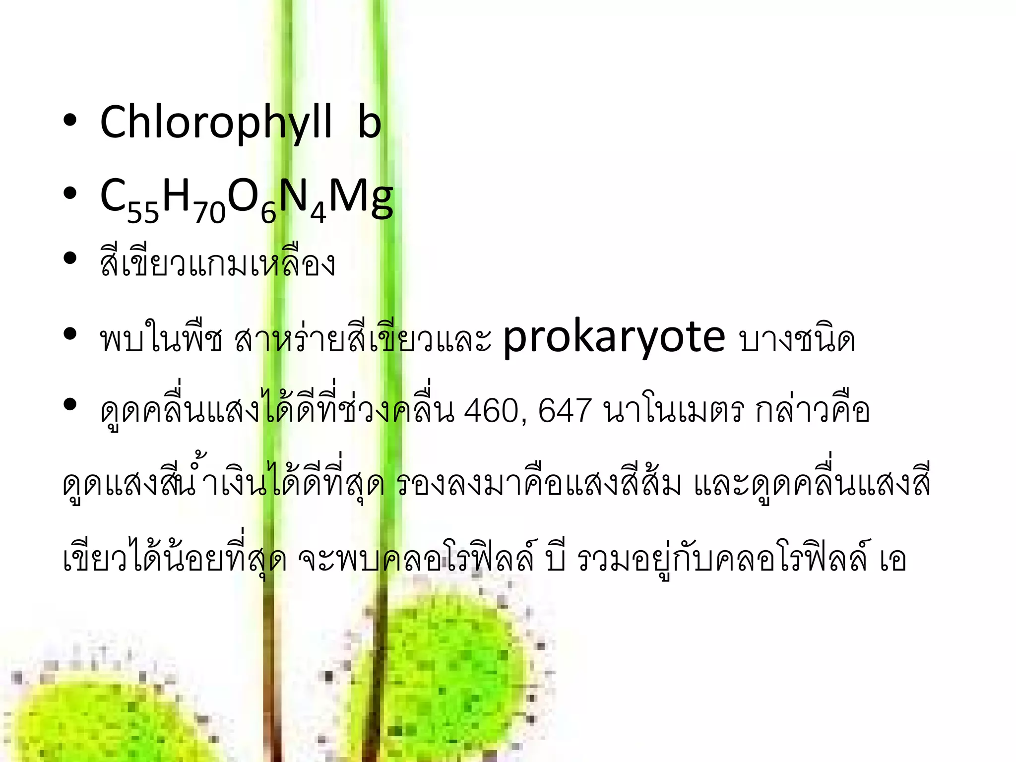 • Chlorophyll b
• C55H70O6N4Mg
• สีเขียวแกมเหลือง
• พบในพืช สาหร่ายสีเขียวและ prokaryote บางชนิด
• ดูดคลื่นแสงได้ ดีที่ช่วงคลื่น 460, 647 นาโนเมตร กล่าวคือ
ดดแสงสีน ํ ้าเงินได้ ดีที่สด รองลงมาคือแสงสีส้ม และดูดคลื่นแสงสี
  ู                        ุ
เขียวได้ น้อยที่สด จะพบคลอโรฟิ ลล์ บี รวมอยูกบคลอโรฟิ ลล์ เอ
                 ุ                            ่ ั
 
