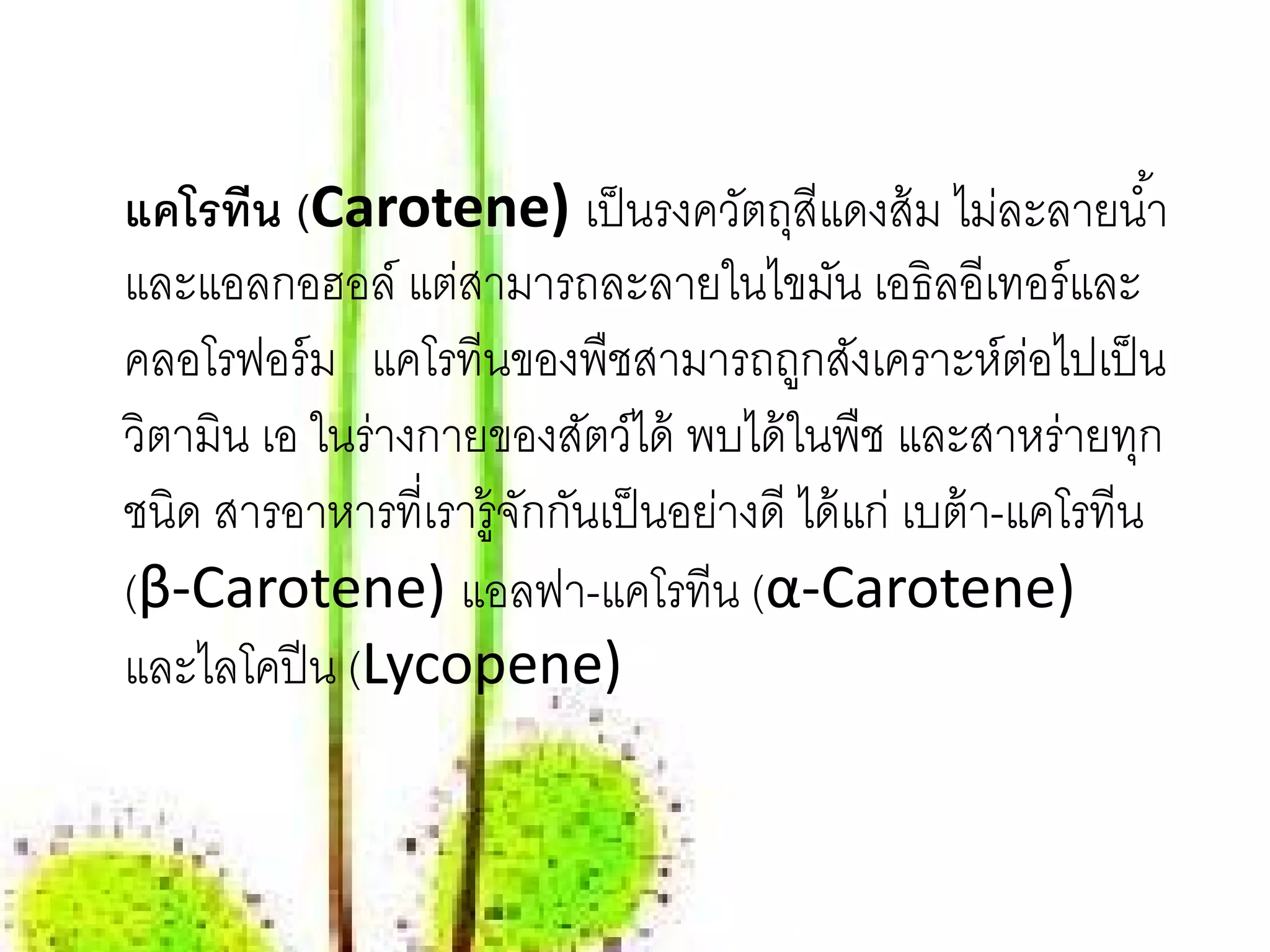 แคโรทีน (Carotene) เป็ นรงควัตถุสีแดงส้ ม ไม่ละลายนํ ้า
และแอลกอฮอล์ แต่สามารถละลายในไขมัน เอธิลอีเทอร์ และ
คลอโรฟอร์ ม แคโรทีนของพืชสามารถถูกสังเคราะห์ตอไปเป็ น   ่
วิตามิน เอ ในร่างกายของสัตว์ได้ พบได้ ในพืช และสาหร่ายทุก
ชนิด สารอาหารที่เรารู้จกกันเป็ นอย่างดี ได้ แก่ เบต้ า-แคโรทีน
                       ั
(β-Carotene) แอลฟา-แคโรทีน (α-Carotene)
และไลโคปี น (Lycopene)
 