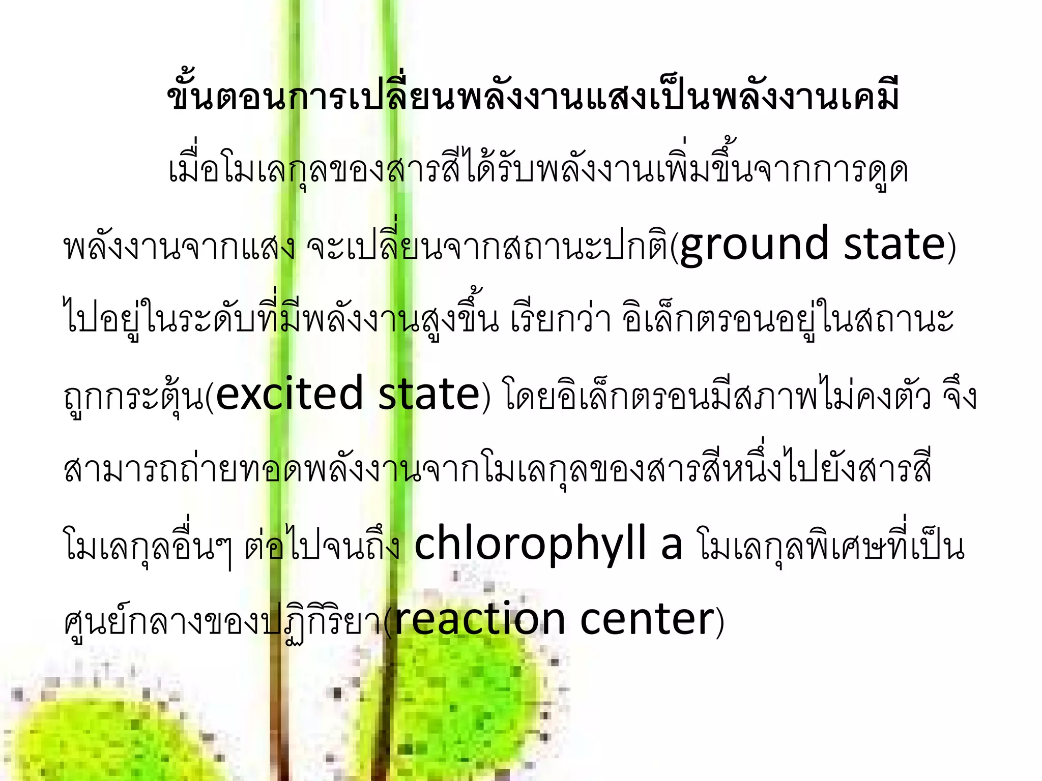 ขันตอนการเปลี่ยนพลังงานแสงเป็ นพลังงานเคมี
          ้
        เมื่อโมเลกุลของสารสีได้ รับพลังงานเพิ่มขึ ้นจากการดูด
พลังงานจากแสง จะเปลียนจากสถานะปกติ(ground state)
                        ่
ไปอยูในระดับที่มีพลังงานสูงขึ ้น เรี ยกว่า อิเล็กตรอนอยูในสถานะ
      ่                                                ่
ถูกกระตุ้น(excited state) โดยอิเล็กตรอนมีสภาพไม่คงตัว จึง
สามารถถ่ายทอดพลังงานจากโมเลกุลของสารสีหนึงไปยังสารสี ่
โมเลกุลอื่นๆ ต่อไปจนถึง chlorophyll a โมเลกุลพิเศษที่เป็ น
ศูนย์กลางของปฏิกิริยา(reaction center)
 