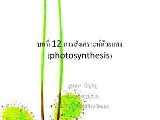 บทที่ 12 การสงเคราะห์ดวยแสง
             ั        ้
  (photosynthesis)

             แอนนา ปัญโญ
            ตําแหน่งครูผ้ ช่วย
                          ู
      โรงเรียนนารีรัตน์จงหวดแพร่
                        ั ั
 