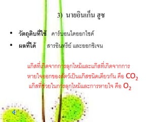 ็
                  3) นายอินเกน ฮูซ
• วัตถุดบที่ใช้ คาร์ บอนไดออกไซด์
         ิ
• ผลท่ ได้ สารอินทรี ย์ และออกซิเจน
       ี

      แก๊ สที่เกิดจากการลุกไหม้ และแก๊ สที่เกิดจากการ
      หายใจออกของสัตว์เป็ นแก๊ สชนิดเดียวกัน คือ CO2
      แก๊ สที่ช่วยในการลุกไหม้ และการหายใจ คือ O2
 