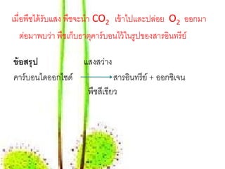เมื่อพืชได้ รับแสง พืชจะนํา CO2 เข้ าไปและปล่อย O2 ออกมา
    ต่อมาพบว่า พืชเก็บธาตุคาร์ บอนไว้ ในรูปของสารอินทรี ย์

ข้ อสรุ ป        แสงสว่าง
คาร์บอนไดออกไซด์            สารอนทรีย์ + ออกซเิ จน
                                ิ
                  พืชสเี ขียว
 