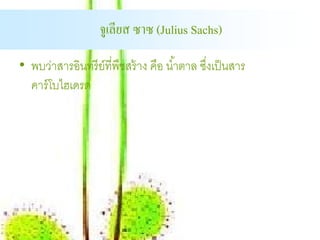 จูเลียส ซาซ (Julius Sachs)

• พบว่าสารอินทรี ย์ที่พืชสร้ าง คือ นํ ้าตาล ซึงเป็ นสาร
                                               ่
  คาร์ โบไฮเดรต
 