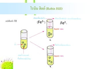 โรบิน ฮิลล์ (Robin Hill)

หนงสือหน้า 72
  ั
                     (Fe3+)           Fe2 )
                                      (    +
 