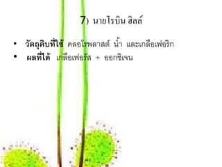 7) นายโรบิน ฮิลล์
• วัตถุดบที่ใช้ คลอโรพลาสต์ นํ ้า และเกลอเฟอริก
        ิ                               ื
• ผลที่ได้ เกลือเฟอรัส + ออกซเจน
                             ิ
 