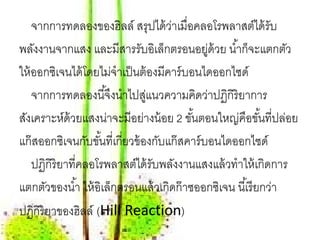 จากการทดลองของฮิลล์ สรุปได้ วาเมื่อคลอโรพลาสต์ได้ รับ
                                      ่
พลังงานจากแสง และมีสารรับอิเล็กตรอนอยูด้วย นํ ้าก็จะแตกตัว
                                               ่
ให้ ออกซิเจนได้ โดยไม่จําเป็ นต้ องมีคาร์ บอนไดออกไซด์
    จากการทดลองนี ้จึงนําไปสูแนวความคิดว่าปฏิกิริยาการ
                                ่
สังเคราะห์ด้วยแสงน่าจะมีอย่างน้ อย 2 ขนตอนใหญ่คอขนท่ีปลอย
                                           ั้         ื ั้        ่
แก๊ สออกซิเจนกับขันที่เกี่ยวข้ องกับแก๊ สคาร์ บอนไดออกไซด์
                     ้
    ปฏิกิริยาที่คลอโรพลาสต์ได้ รับพลังงานแสงแล้ วทําให้ เกิดการ
แตกตัวของนํ ้า ให้ อิเล็กตรอนแล้ วเกิดก๊ าซออกซิเจน นี ้เรี ยกว่า
ปฏิกิริยาของฮิลล์ (Hill Reaction)
 