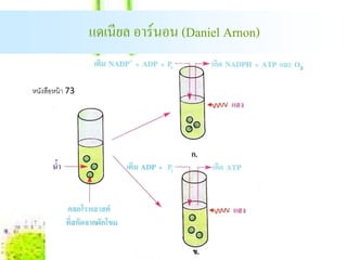 แดเนียล อาร์นอน (Daniel Arnon)

หนงสือหน้า 73
  ั
 
