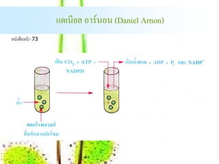 แดเนียล อาร์นอน (Daniel Arnon)
หนงสือหน้า 73
  ั
 
