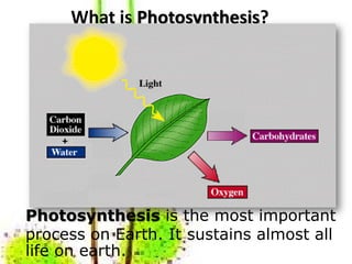 What is Photosynthesis?




Photosynthesis is the most important
process on Earth. It sustains almost all
life on earth.
 