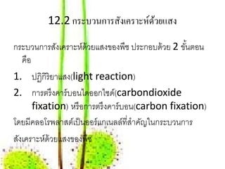 12.2 กระบวนการสังเคราะห์ดวยแสง
                                  ้

กระบวนการสังเคราะห์ด้วยแสงของพืช ประกอบด้ วย 2 ขันตอน
                                                   ้
   คือ
1. ปฏิกิริยาแสง(light reaction)
2. การตรึงคาร์ บอนไดออกไซด์(carbondioxide
       fixation) หรื อการตรึงคาร์ บอน(carbon fixation)
โดยมีคลอโรพลาสต์เป็ นออร์ แกเนลล์ที่สําคัญในกระบวนการ
สังเคราะห์ด้วยแสงของพืช
 