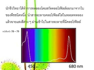 นักชีววิทยาได้ ทําการทดลองโดยสกัดคลอโรฟิ ลล์ออกมาจากใบ
   ของพืชชนิดหนึง นําสารละลายคลอโรฟิ ลล์ใส่ในหลอดทดลอง
                   ่
   แล้ วฉายแสงสีตาง ๆ ผ่านเข้ าไปในสารละลายที่มีคลอโรฟิ ลล์
                     ่
หนงสือหน้า 78 – 79
  ั




                     450                        680 nm
 