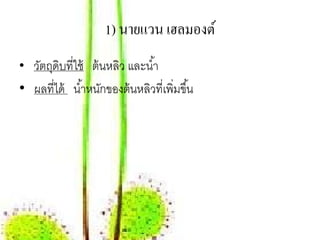1) นายแวน เฮลมองต์
• วัตถุดิบที่ใช้ ต้ นหลิว และนํ ้า
• ผลที่ได้ นํ ้าหนักของต้ นหลิวที่เพิ่มขึ ้น
 
