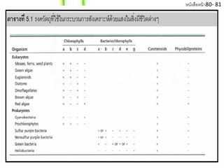 หนงสือหน้า80- 81
  ั
 